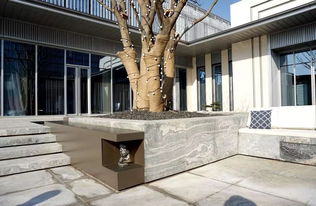 初見園林 廣州園林綠化設計與施工，打造私家別墅花園的理想選擇