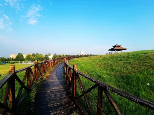 第二批山東省省級考古遺址公園名單公布，濟(jì)寧兩遺址入選助力文化遺產(chǎn)保護(hù)